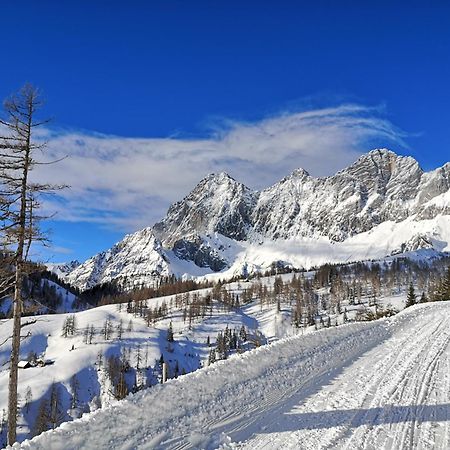 Brandhof - Chalet Am Berg Ramsau am Dachstein Eksteriør bilde