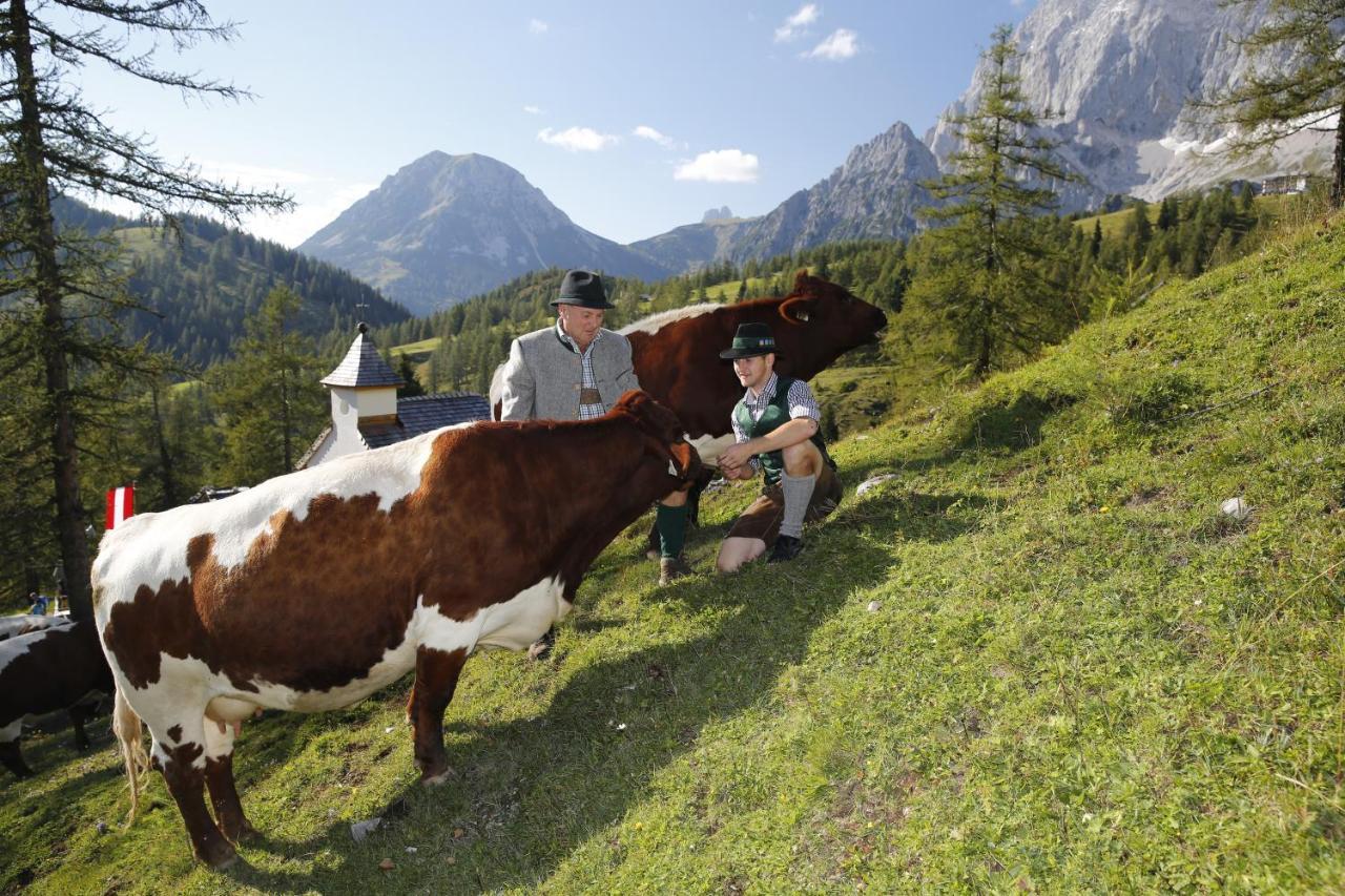 Brandhof - Chalet Am Berg Ramsau am Dachstein Eksteriør bilde