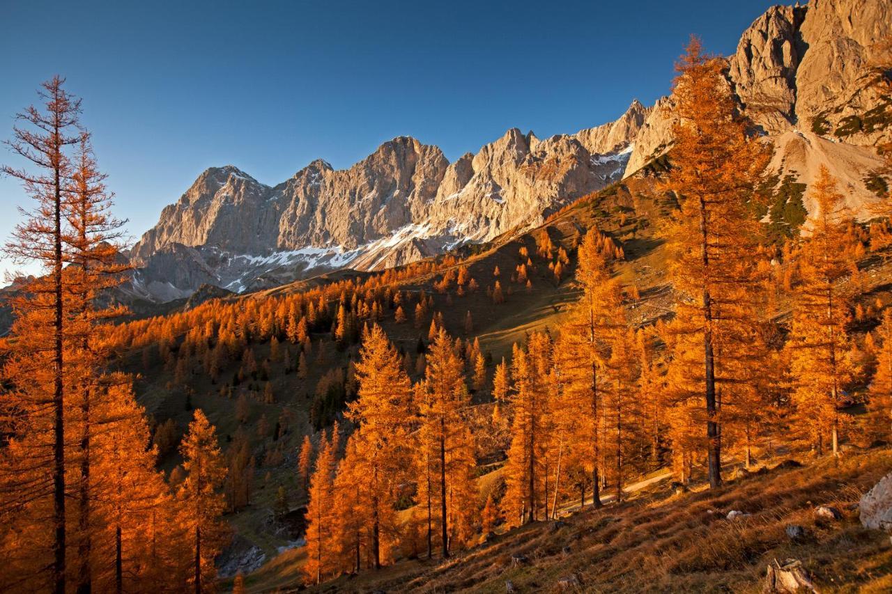 Brandhof - Chalet Am Berg Ramsau am Dachstein Eksteriør bilde
